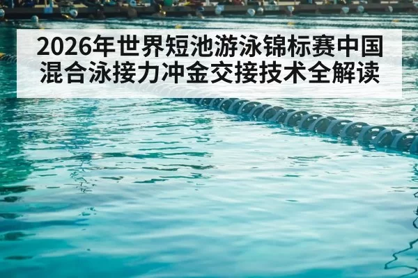 2026年世界短池游泳锦标赛中国混合泳接力冲金交接技术全解读